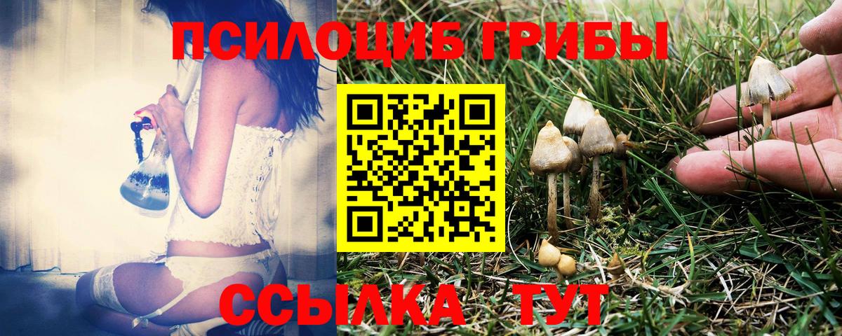 Псилоцибиновые грибы Cubensis Добрянка